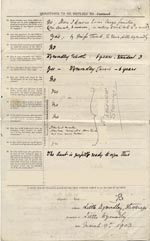 Image of Case 9603 1. Application to Waifs and Strays' Society  9 March 1903
 page 2