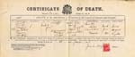 Image of Case 9646 2. Copy of E's death certificate  14 June 1905
 page 1
